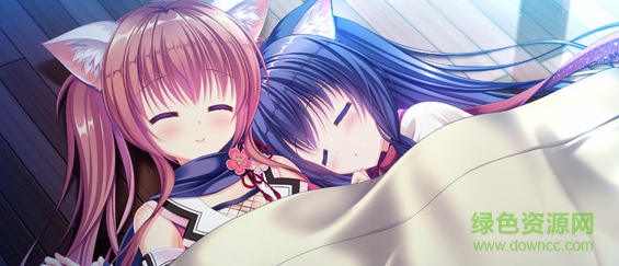 貓忍之心官方版