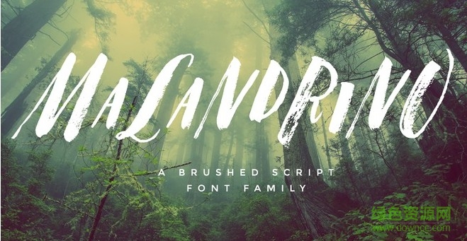 字客網(wǎng)vip版(識(shí)字體) v2.0.0 pc版 0