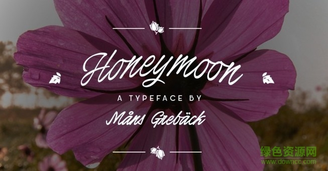 字客網(wǎng)下載