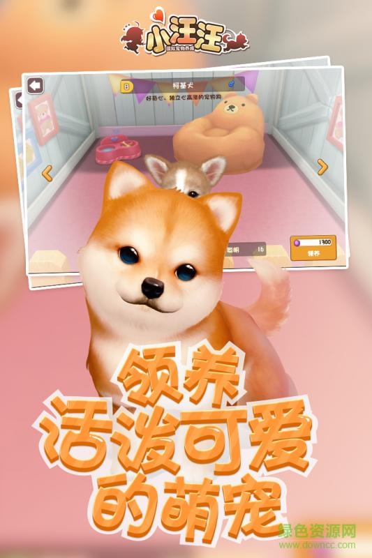 九游版小汪汪手游3