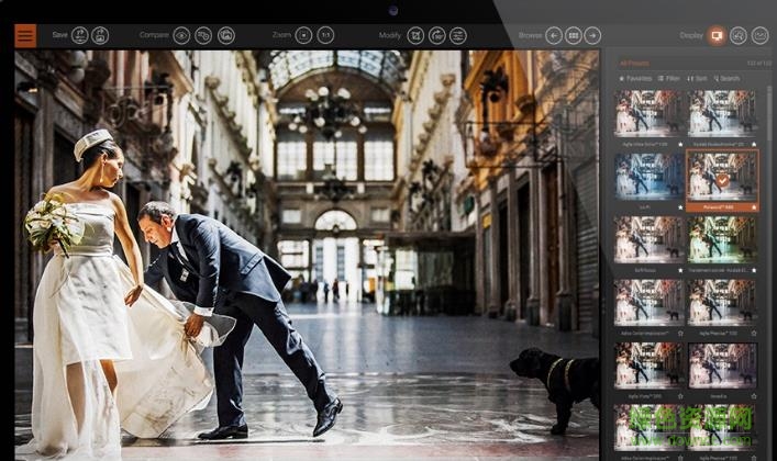 dxo filmpack 5漢化版