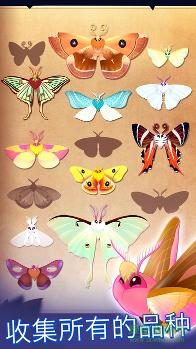 彩翼之星夜最新官方版 彩翼之星夜下载最新版本2019