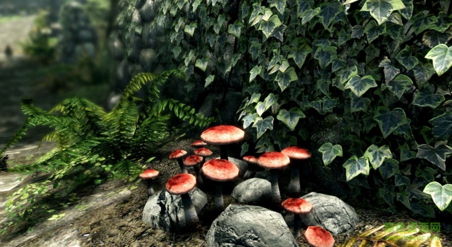 “上古卷軸5天際腳本擴(kuò)展工具skse”