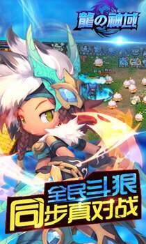 龍之神域 v1.2 安卓版 0