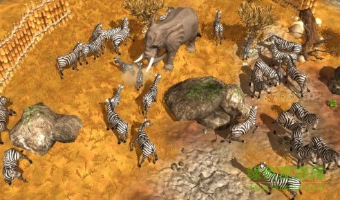 野生動物園大亨3漢化版 免安裝中文硬盤版 0