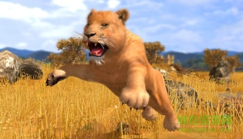 動(dòng)物園大亨3中文補(bǔ)丁  3