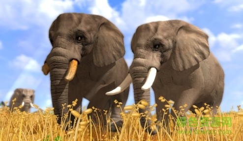 野生動物園大亨3中文版 野生動物園大亨3漢化版