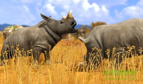 野生動物園大亨3中文版 野生動物園大亨3中文版