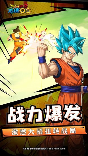 龍珠覺醒修改器