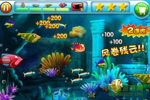 大魚吃小魚超級進(jìn)化版 v6.0 安卓版 0