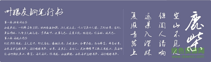 葉根友鋼筆行書簡體升級版  0