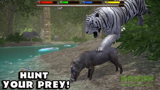 叢林動物模擬器(JungleSim) v1.1 安卓版 1