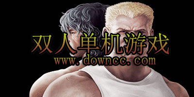 雙人單機(jī)游戲