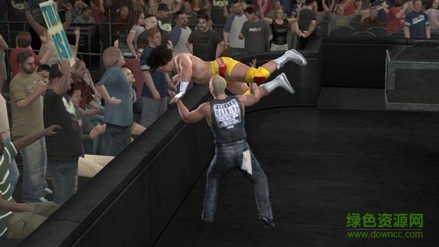 WWE世界摔跤娛樂20080