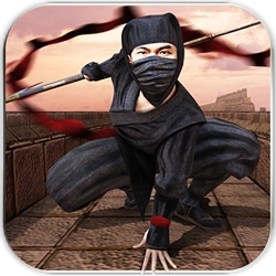 忍者戰(zhàn)士生存之戰(zhàn)手機(jī)版(Ninja Warrior Survival Fight)