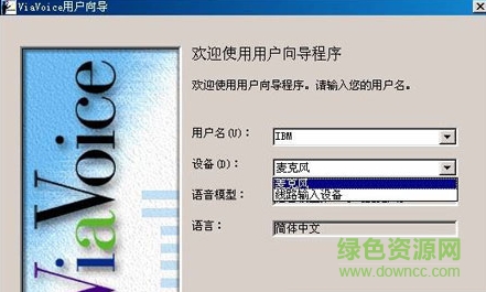 ibm viavoice v9.1免安裝版 0