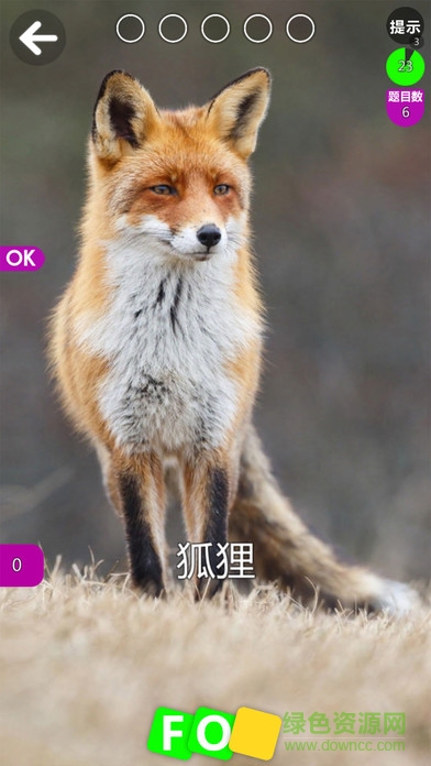 德予miboo英語 v1.6 安卓版 2