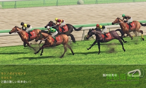 賽馬大亨8 2017中文版 簡(jiǎn)體中文硬盤(pán)版 0