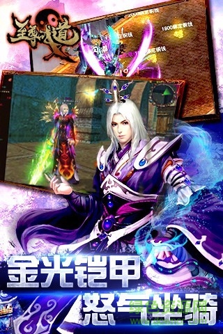 至尊戰(zhàn)道手游