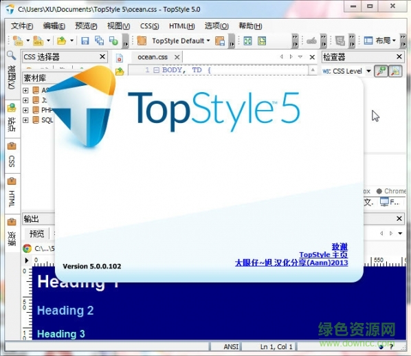 TopStyle Pro(css設(shè)計工具) v2017 綠色便攜版 0
