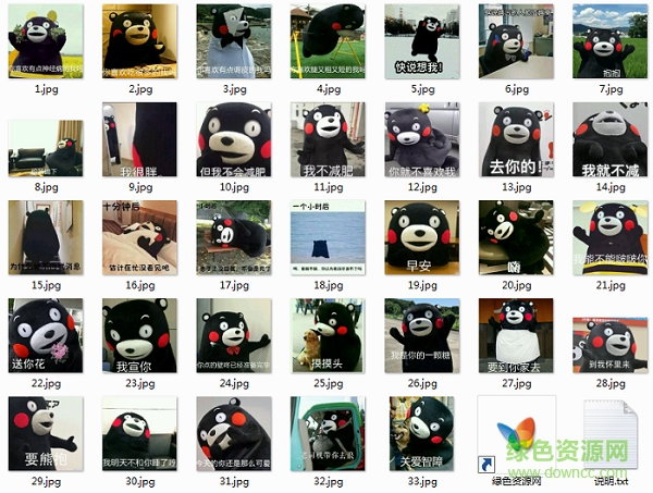 熊本熊520表白表情包  0