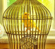 逃出寂靜山莊手機版