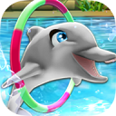 我的海豚表演內(nèi)購(gòu)