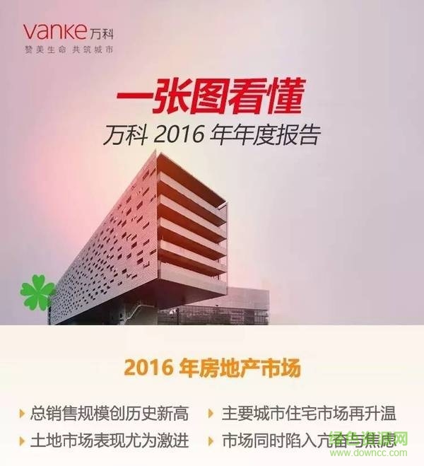 2016萬科財務報表分析報告 pdf高清電子版 0