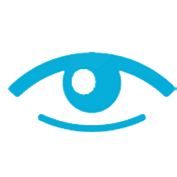 VideoEye(視頻碼流分析工具)