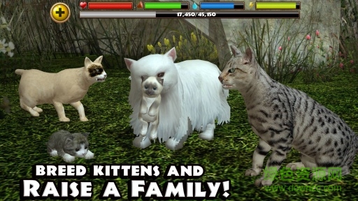 流浪貓模擬器(StrayCatSim) v1.0 安卓版 1