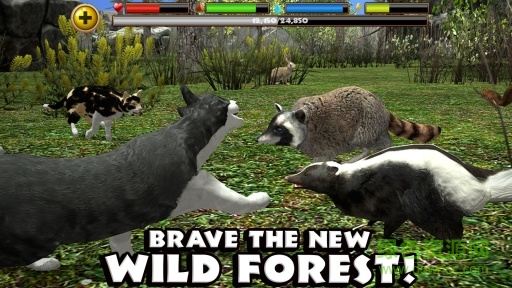 流浪貓模擬器(StrayCatSim) v1.0 安卓版 3