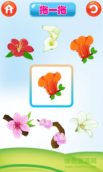 巴賓兔寶寶識(shí)植物 v6.6.0 安卓版 0