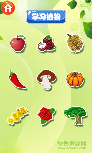 巴賓兔寶寶識(shí)植物 v6.6.0 安卓版 1