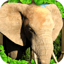 大象模擬器游戲(Elephant Sim)