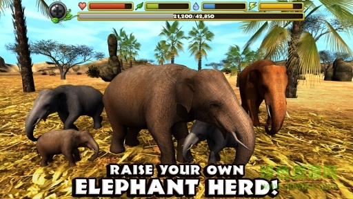大象模擬器無限經(jīng)驗(Elephant Sim) v1.2 安卓版 1