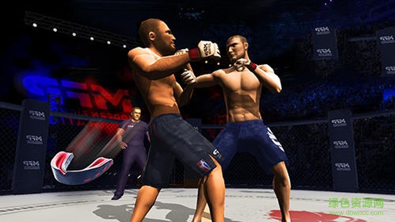 MMA混斗(MMA Pankration) v1.3 安卓版 0