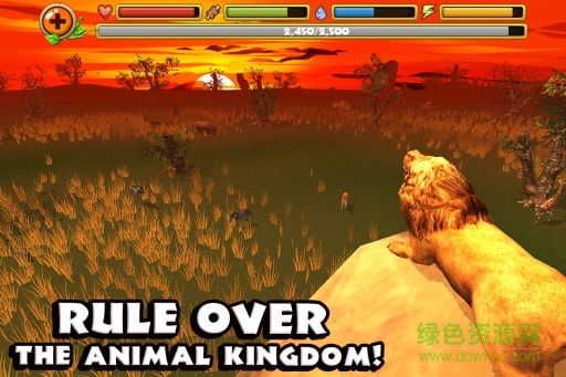 獅子模擬器(LionSimulator) v1.0 安卓無(wú)限生命版 0