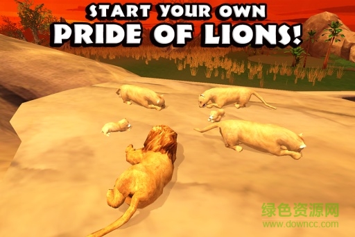 獅子模擬器中文版