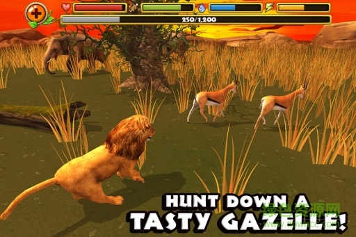 獅子模擬器(LionSimulator) v1.0 安卓無(wú)限生命版 3