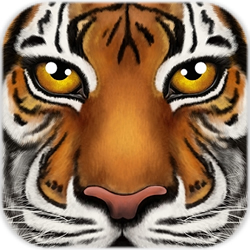 終極叢林模擬器內(nèi)購正式版