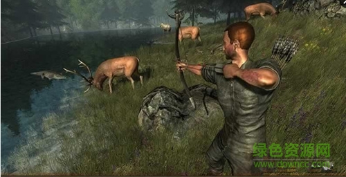 亞馬遜叢林游戲