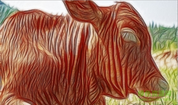 Redfield Fractalius漢化版(線之繪濾鏡)  0