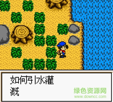 牧場(chǎng)物語(yǔ)3中文版 漢化版 1