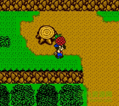 牧場(chǎng)物語(yǔ)3中文版