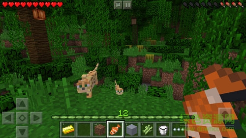 我的世界移動版(Minecraft Pocket Edition) v1.1.1.1 安卓版 2