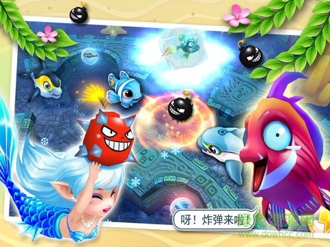 大魚(yú)吃小魚(yú)ol樂(lè)樂(lè)魚(yú)聚會(huì)豪華版