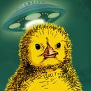 小雞們的大冒險中文版(Kokeko)