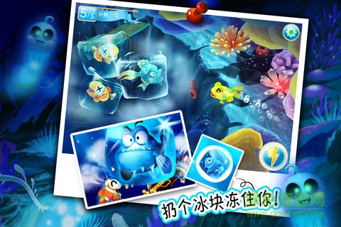 樂(lè)樂(lè)魚聚會(huì)夏日版手機(jī)端 v1.9.2 安卓版 0