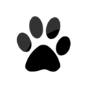 W10 Logon BG Changer(win10背景修改)