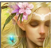 神石传说之亚伦传